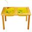 Sensory Table